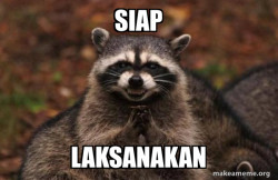 Evil Plotting Raccoon