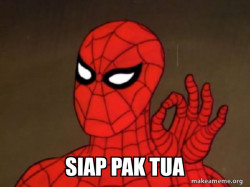 Spiderman - Care factor Zero