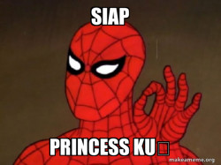 Spiderman - Care factor Zero