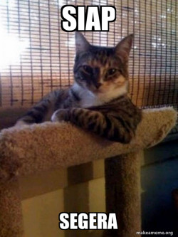 The Most Interesting Cat in the World