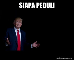 Trump Everything is FIne