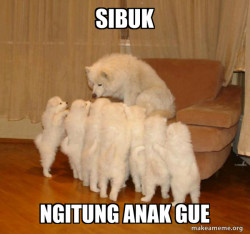 Storytelling Dog
