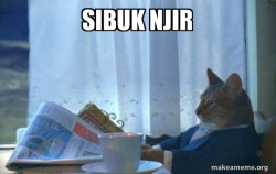 Sophisticated Cat
