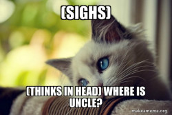 First World Cat Problems