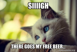First World Cat Problems