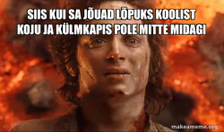 Frodo it's over it's done