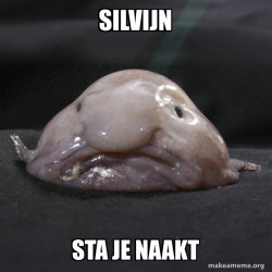 Blobfish