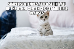 Cute Kitten
