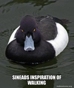 Revenge Duck ( Angry Advice Duck )