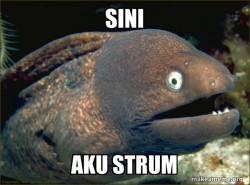 Bad Joke Eel