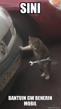 Mechanic Cat