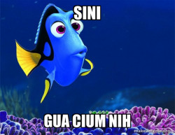 Dory from Nemo  (5 second memory)