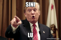 DONALD SINI LU