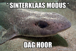 Dirty Joke Dogfish