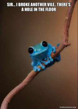 Small Fact Frog