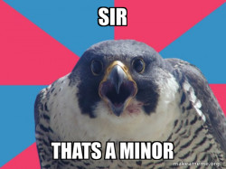 Millennial Falcon