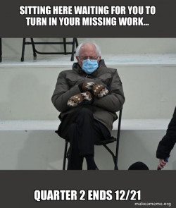 Bernie Sanders at the Inauguration