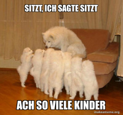 Storytelling Dog