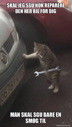 Mechanic Cat