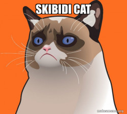 Cartoon Grumpy Cat