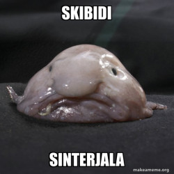 Blobfish