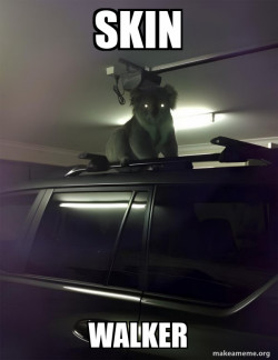 Drop Bear