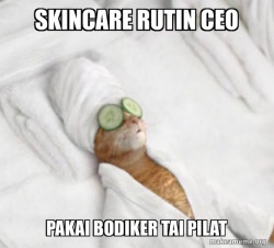 Pampered Cat Meme