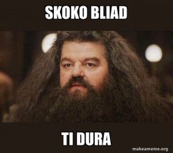 Hagrid - I should not have said that