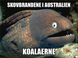 Bad Joke Eel