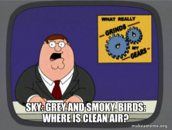 What Grinds My Gears (Family Guy)