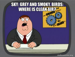 What Grinds My Gears (Family Guy)