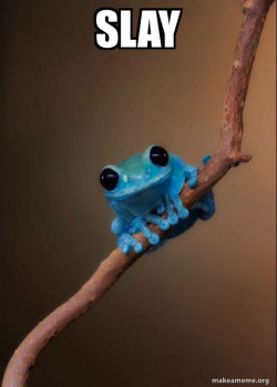 Small Fact Frog
