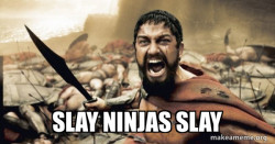 The 300