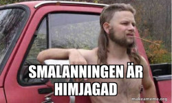 Almost Politically Correct Redneck