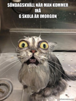Cat bath