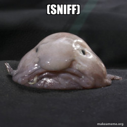 Blobfish
