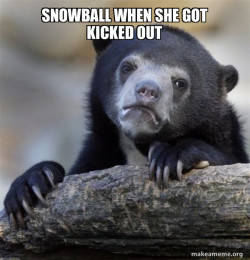 Confession Bear