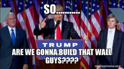President Elect Trump