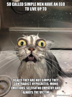 Cat bath
