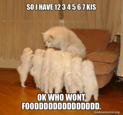 Storytelling Dog