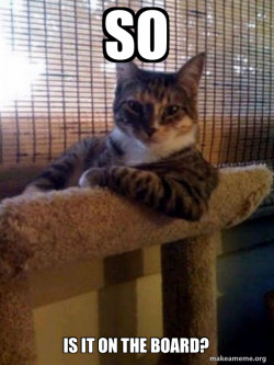 The Most Interesting Cat in the World