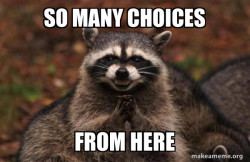 Evil Plotting Raccoon