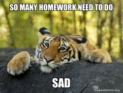 Confession Tiger