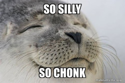 Satisfied Seal