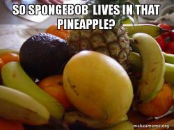 fruit