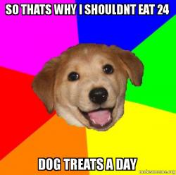 Advice Dog