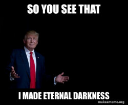Trump Everything is FIne