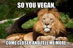 Contemplative Lion