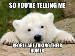 Popular Opinion Bear