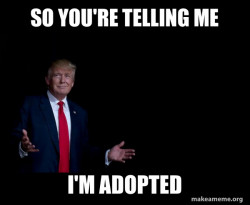 Trump Everything is FIne
